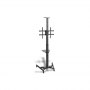 Digitus | Floor stand | TV-Cart for screens up to 70"", max. 50kg wheelbase, VESA max. 600x400 | Tilt | 37-70 "" | Maximum weigh - 6